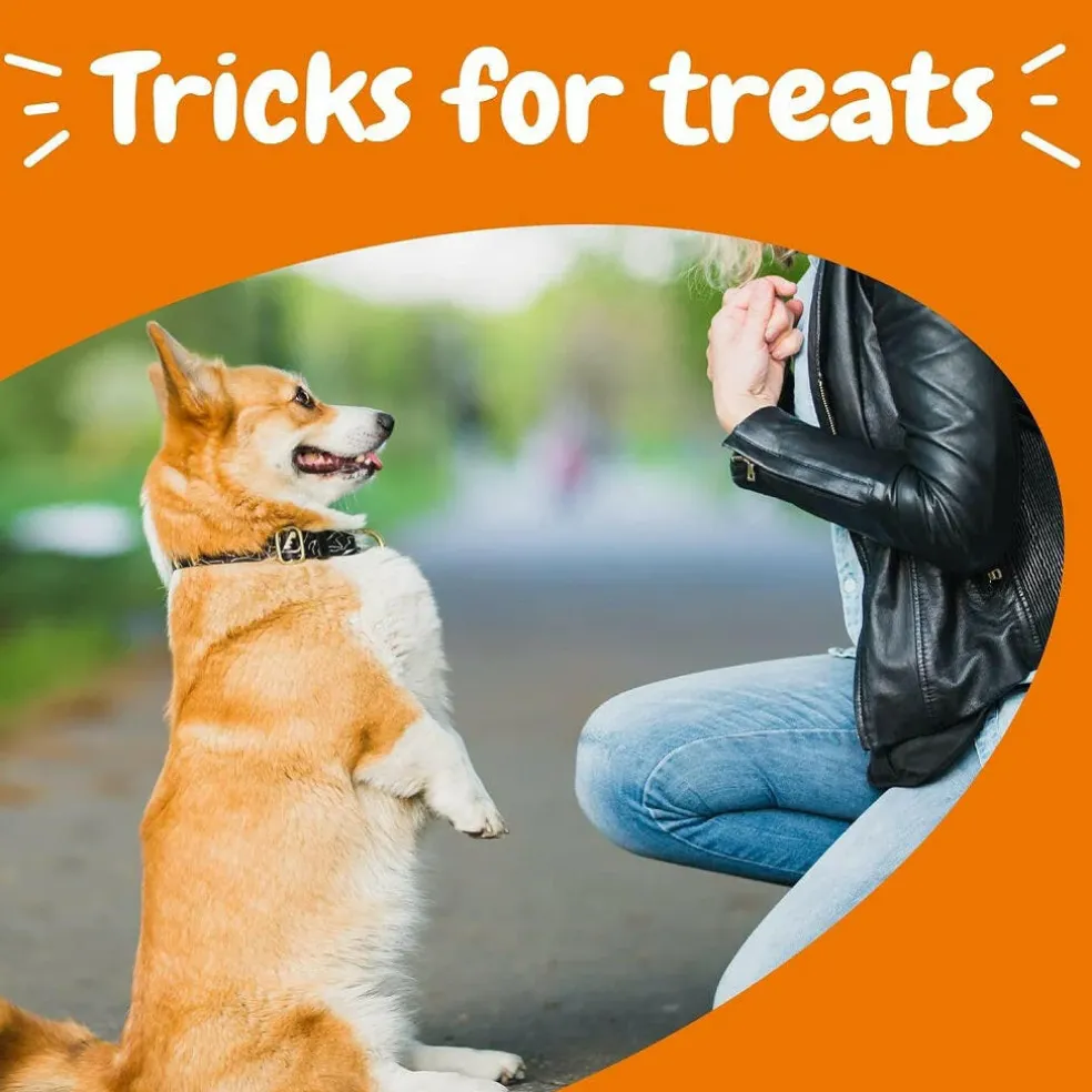 Zesty paws All-in-One Peanut Butter Flavored Multivitamin Training Bites for Dogs (8 oz)