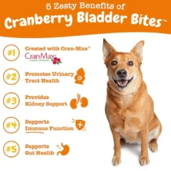 Zesty Paws Cranberry Bladder Bites Chicken Flavor Chews for Dogs (90 ct)