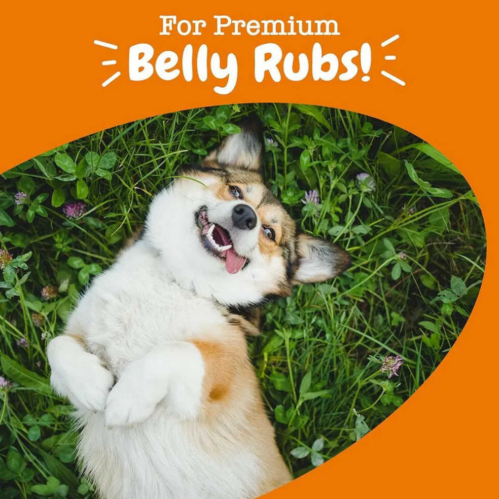 Zesty Paws Probiotic Bites Pumpkin Flavored Chews for Dogs (90 ct)