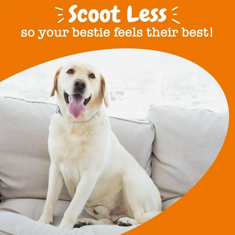 Zesty Paws Scoot Away Bites Chicken Flavored Digestive Chews for Dogs (90 ct)