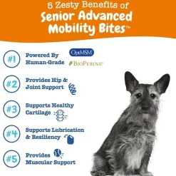 Zesty Paws Senior Advanced Mobility Bites Chicken Flavored Chews for Dogs (90 ct)