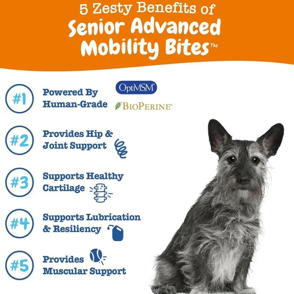 Zesty Paws Senior Advanced Mobility Bites Chicken Flavored Chews for Dogs (90 ct)