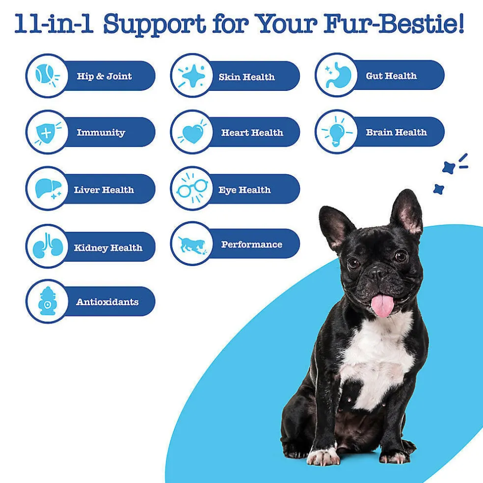 Zesty Paws Senior Advanced 11-1 Multifunction Bites Chicken Flavor Supplement For Dog (90 ct)