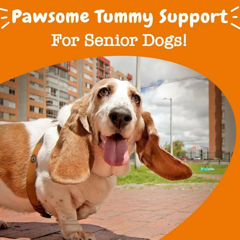 Zesty Paws Senior Advanced Probiotic Bites Chicken Flavored Chews for Dogs (90 ct)