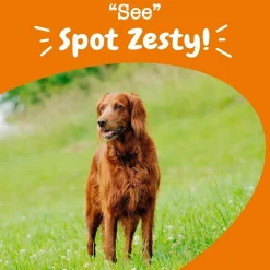 Zesty Paws Senior Advanced Vision Bites Chicken Flavored Chews for Dogs (90 ct)