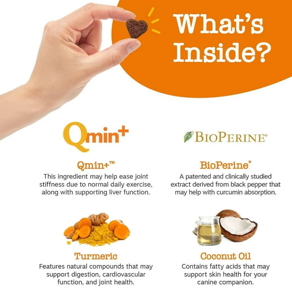 Zesty Paws Turmeric Curcumin Bites Duck Flavored Chews for Dog (90 ct)