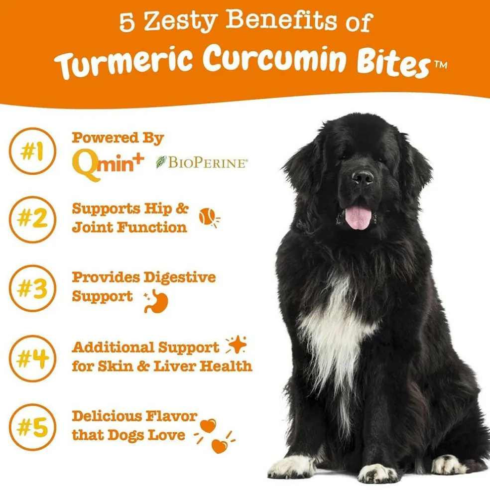 Zesty Paws Turmeric Curcumin Bites Duck Flavored Chews for Dog (90 ct)