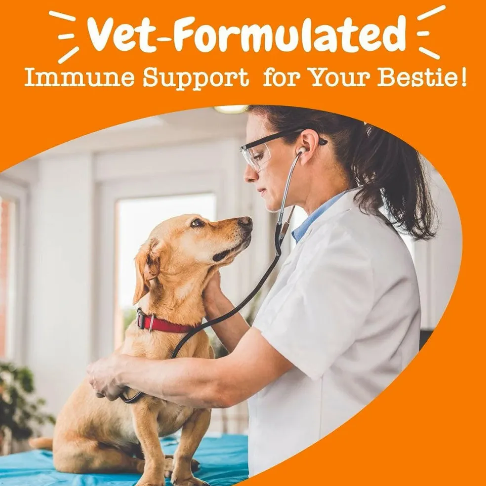 Zesty Paws Vet Strength Aller-Immune Bites Smoked Cheese Flavored Immune Support Chews for Dogs (90 ct)