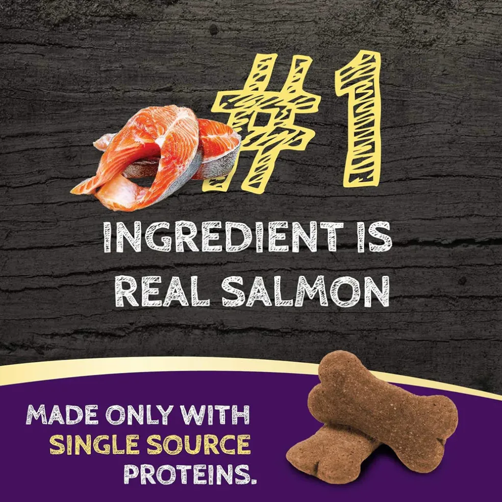 Zignature Salmon Formula Ziggy Bars with Pumpkin Dog Treats, 12-oz