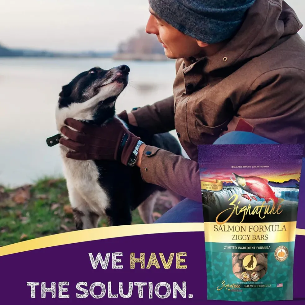 Zignature Salmon Formula Ziggy Bars with Pumpkin Dog Treats, 12-oz