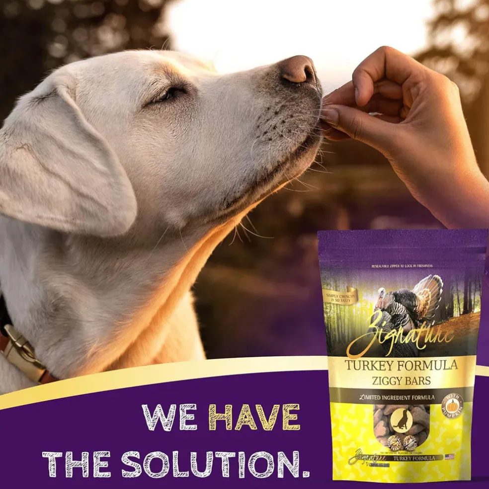 Zignature Turkey Formula Ziggy Bars with Pumpkin Dog Treats, 12-oz