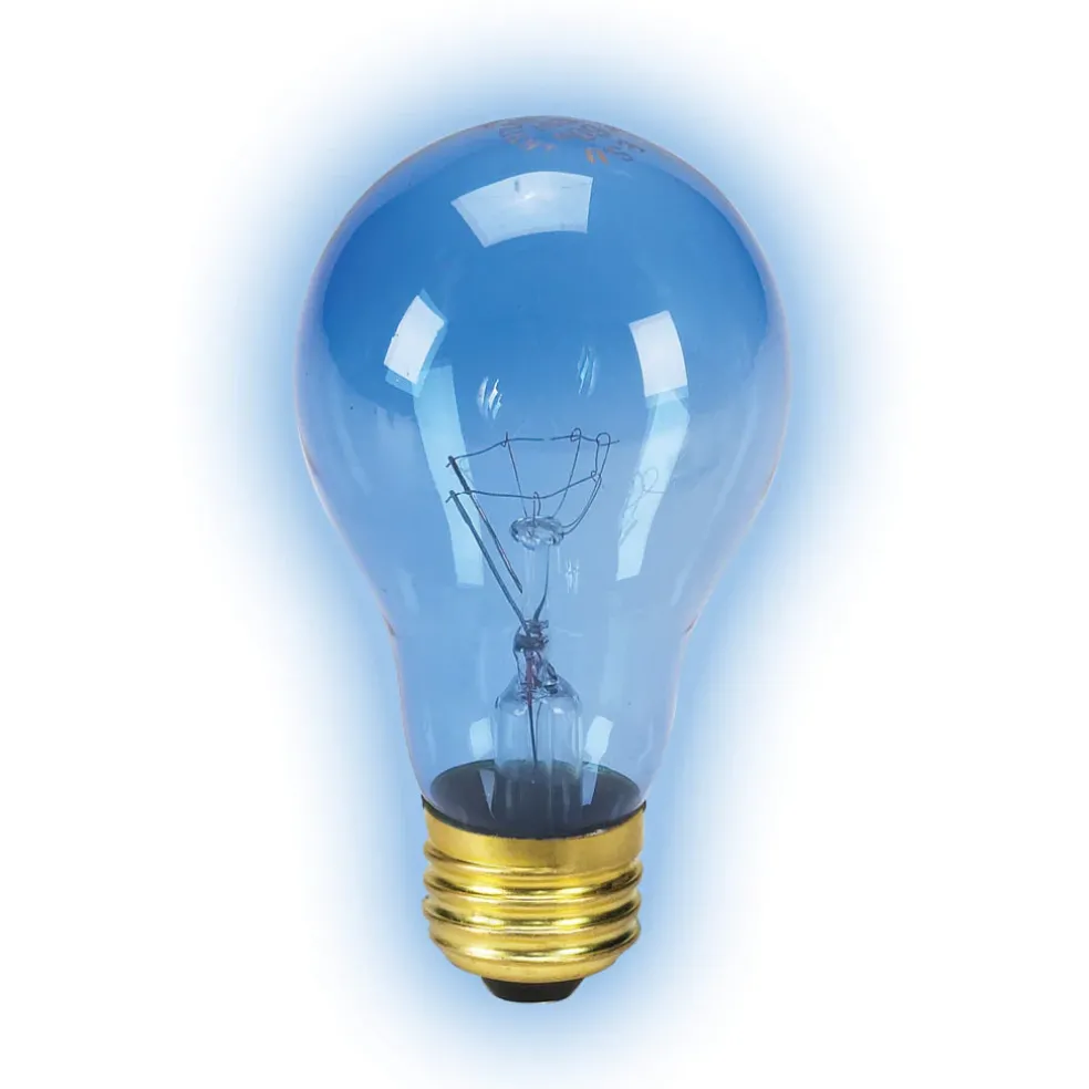 Zilla Day Blue Light Bulb for Basking Heat