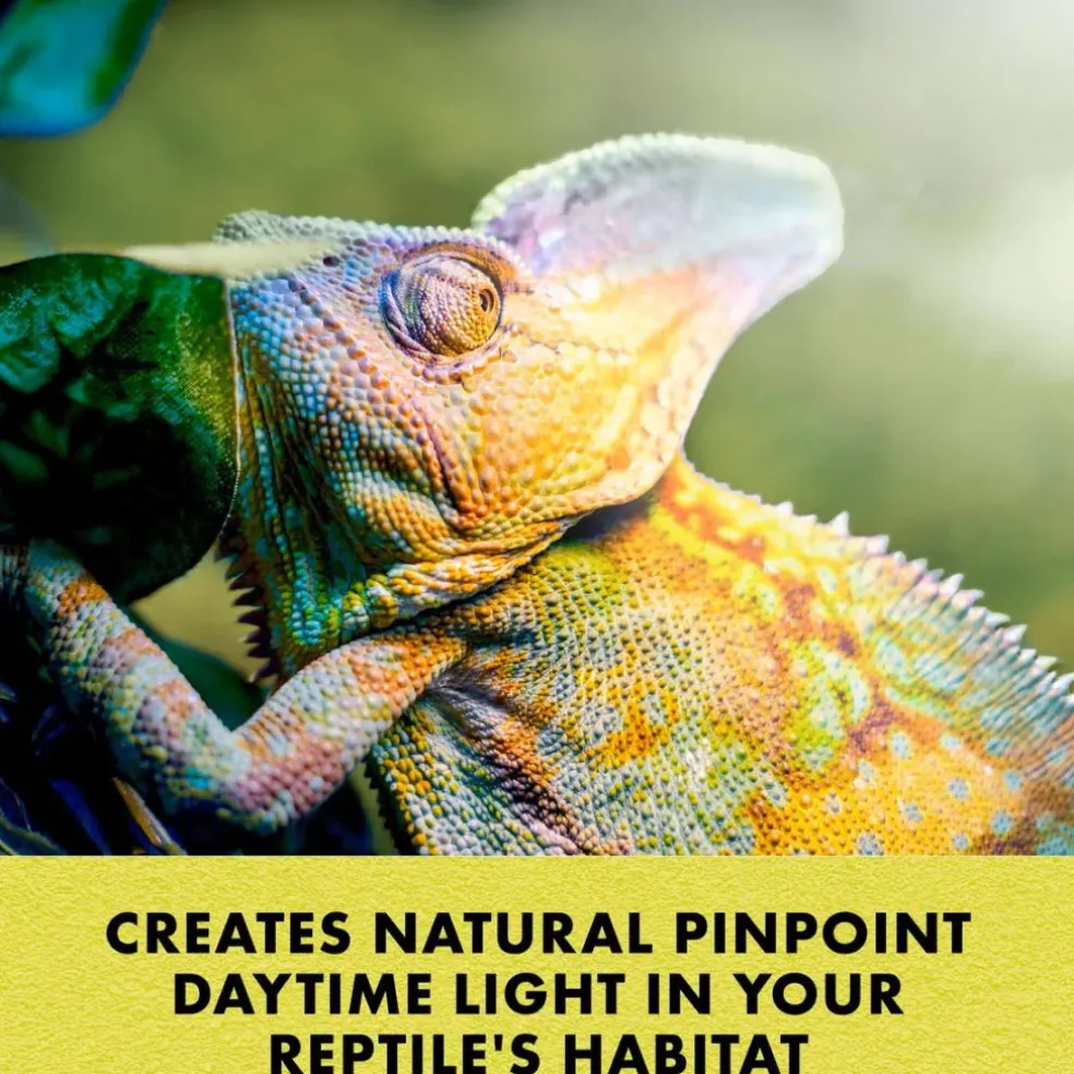 Zilla Day White Incandescent Spot Bulb for Reptiles