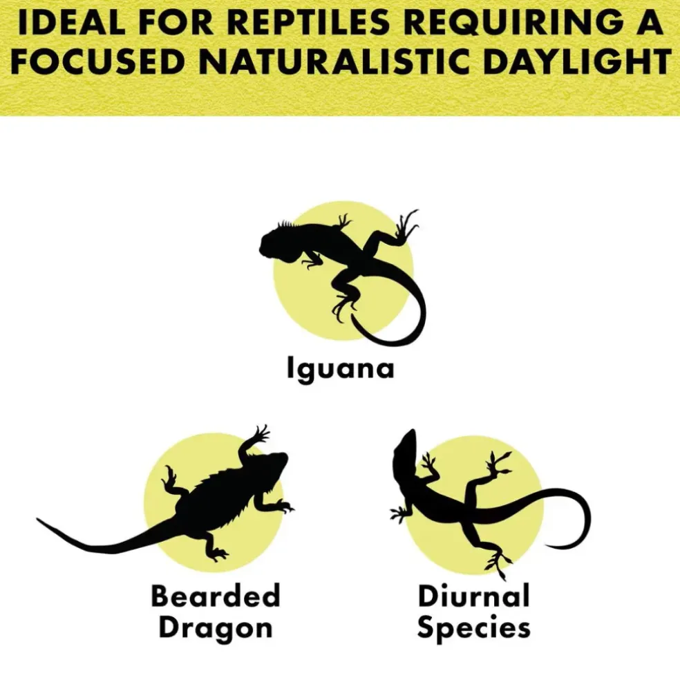 Zilla Day White Incandescent Spot Bulb for Reptiles