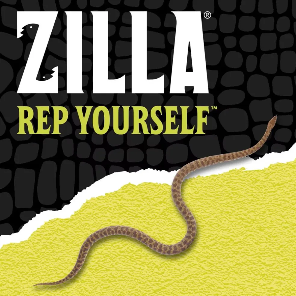 Zilla Day White Incandescent Spot Bulb for Reptiles