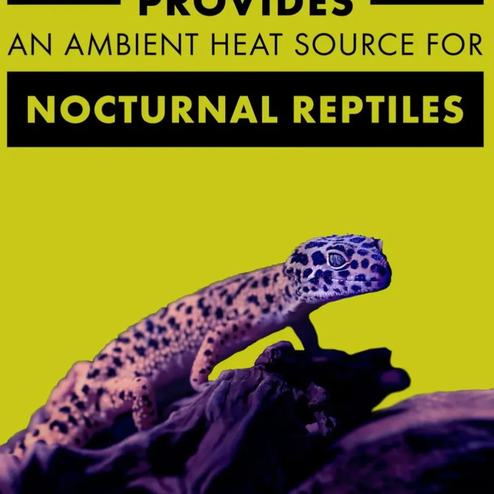 Zilla Night Black Heat Bulb for Reptiles