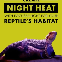 Zilla Night Black Incandescent Spot Bulb for Reptiles