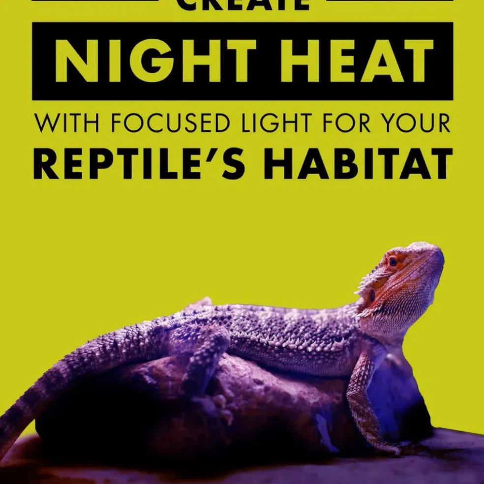 Zilla Night Black Incandescent Spot Bulb for Reptiles