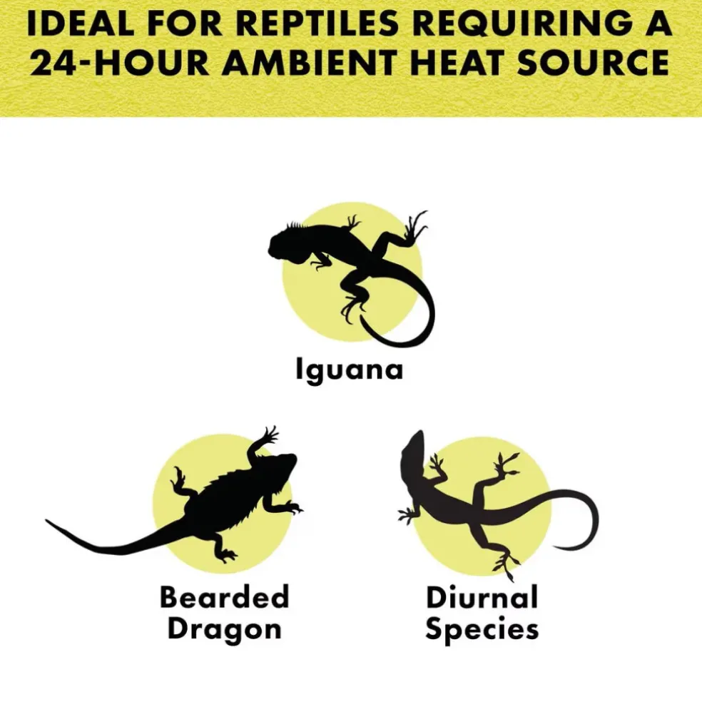 Zilla Night Black Incandescent Spot Bulb for Reptiles