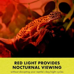 Zilla Night Red Incandescent Spot Bulb