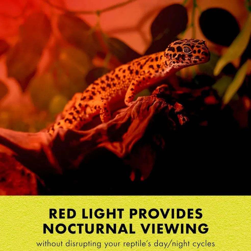 Zilla Night Red Incandescent Spot Bulb