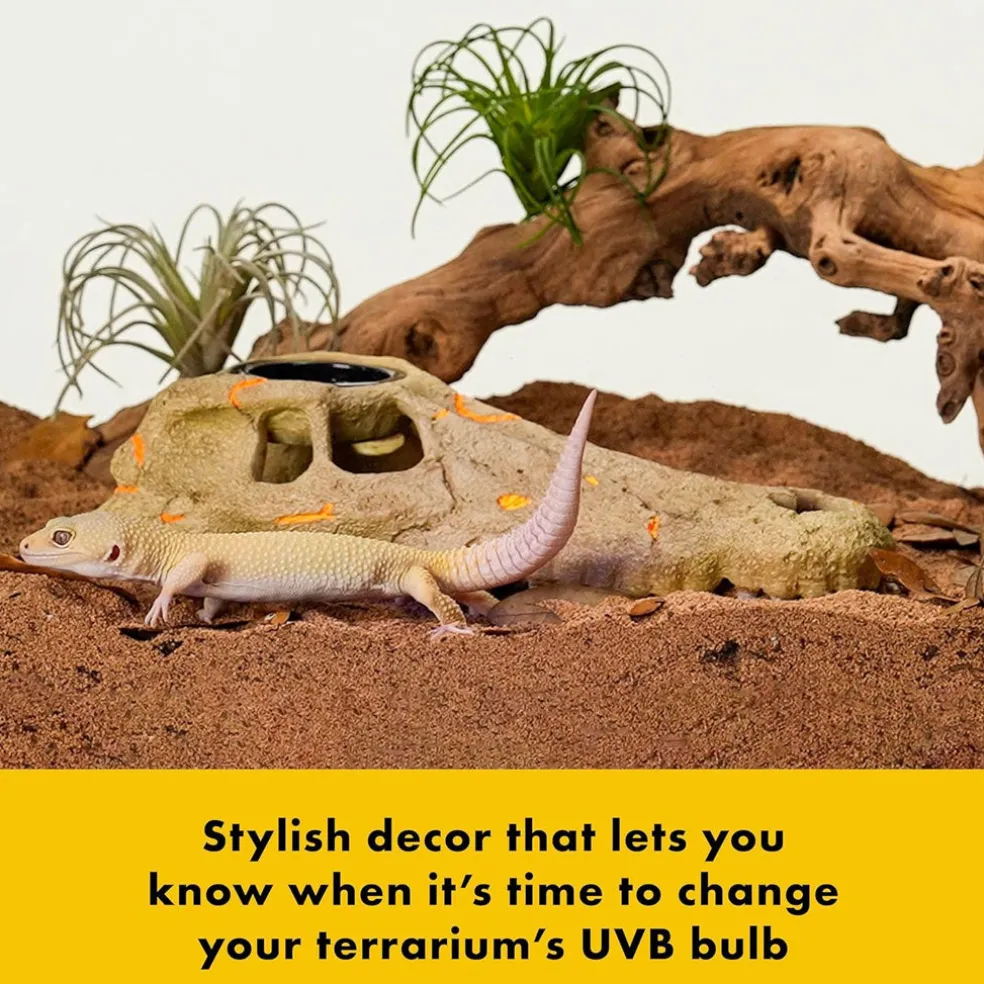 Zilla Rapid Sense UV Detecting Decor Crocodile Skull, Medium
