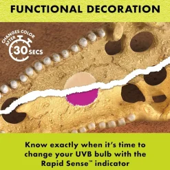 Zilla Rapid Sense UV Detecting Decor Crocodile Skull, Medium