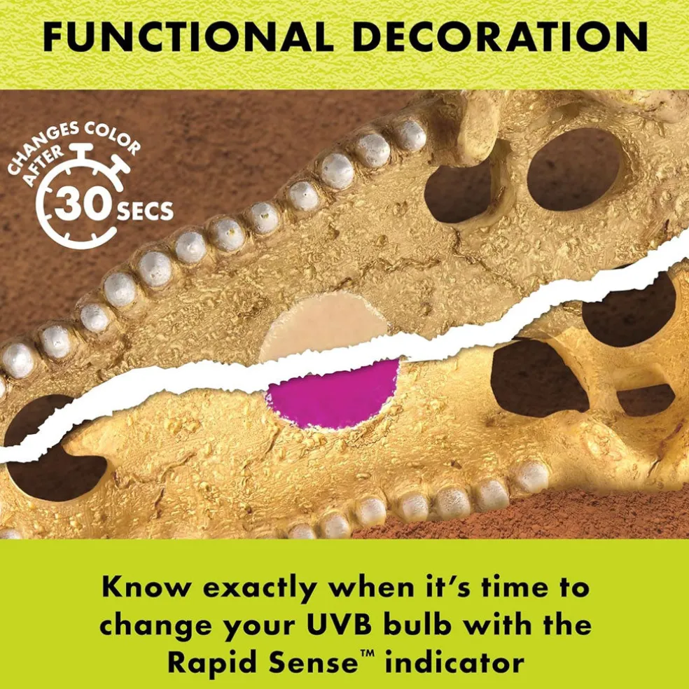 Zilla Rapid Sense UV Detecting Decor Crocodile Skull, Medium