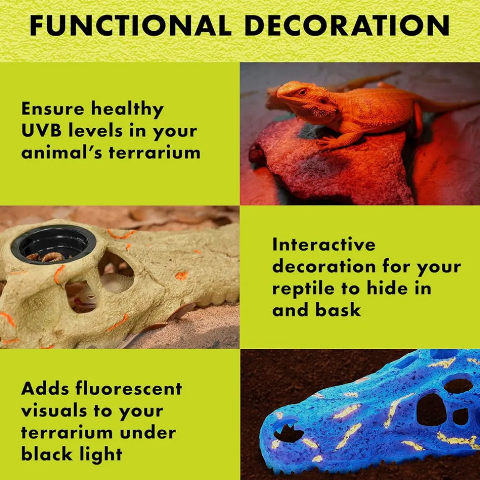 Zilla Rapid Sense UV Detecting Decor Crocodile Skull, Medium