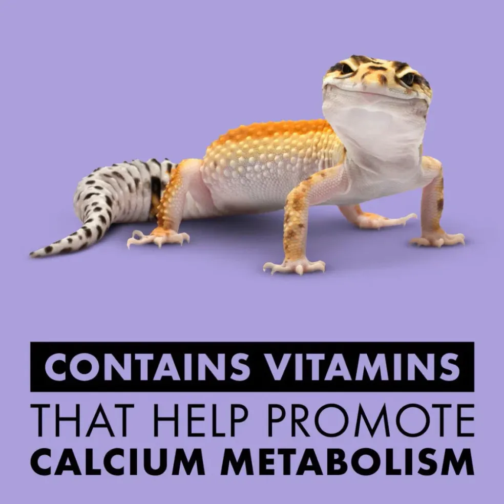 Zilla Vitamin Supplement with Carotene Food Spray For Reptiles (8 oz)