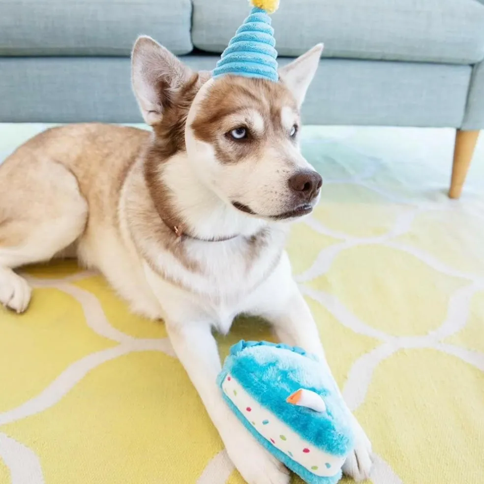 Zippy Paws Birthday Cake Plush Squeaky Toy for Dogs