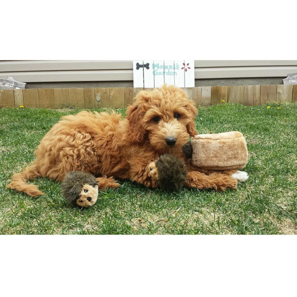 Zippy Paws Burrow Interactive Squeaky Hedgehog Den Toy for Dogs