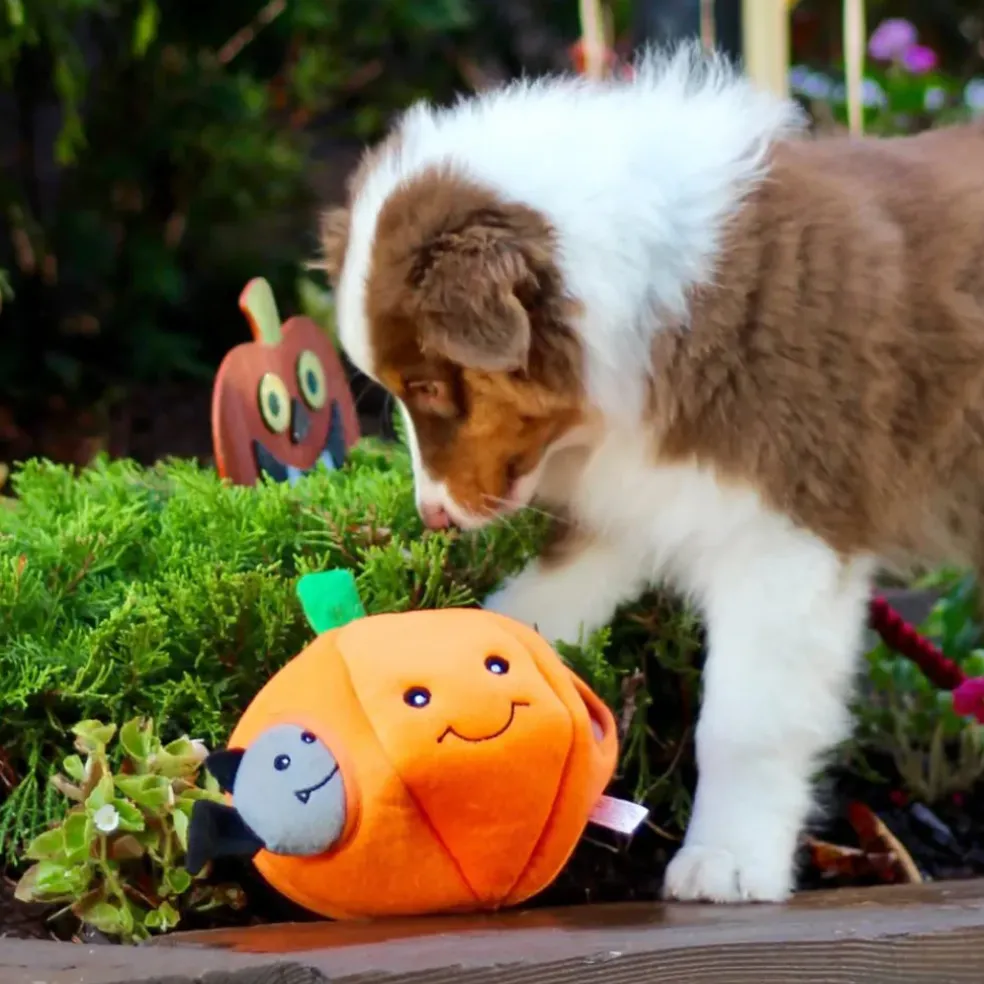 Zippypaws Halloween Pumpkin Burrow Interactive Plush Toy For Dogs