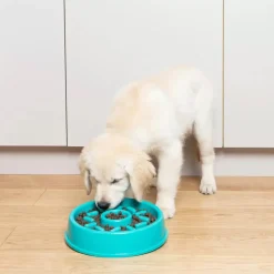 Zippy Paws Happy Bowl