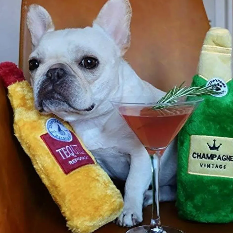 Zippy Paws Happy Hour Crusherz Bottle Themed Crunchy Water Bottle Tequila
