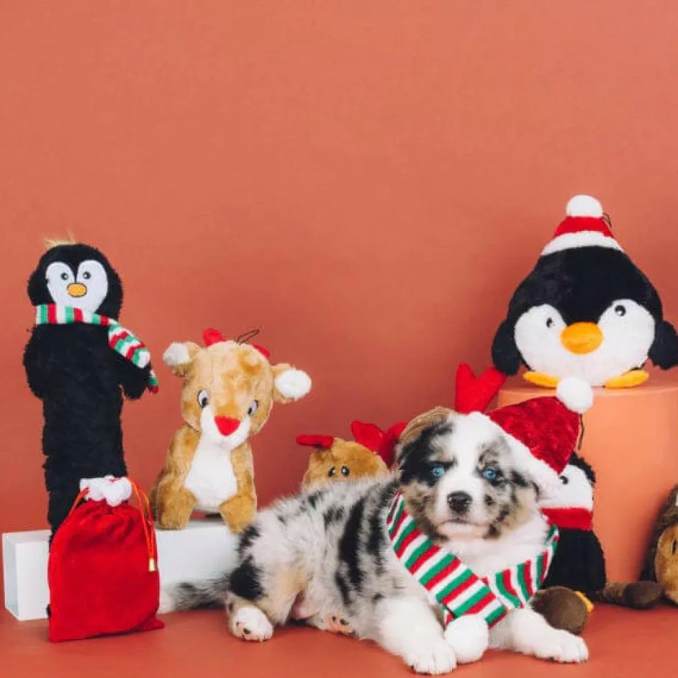 ZippyPaws Holiday Jigglerz Dog Toy