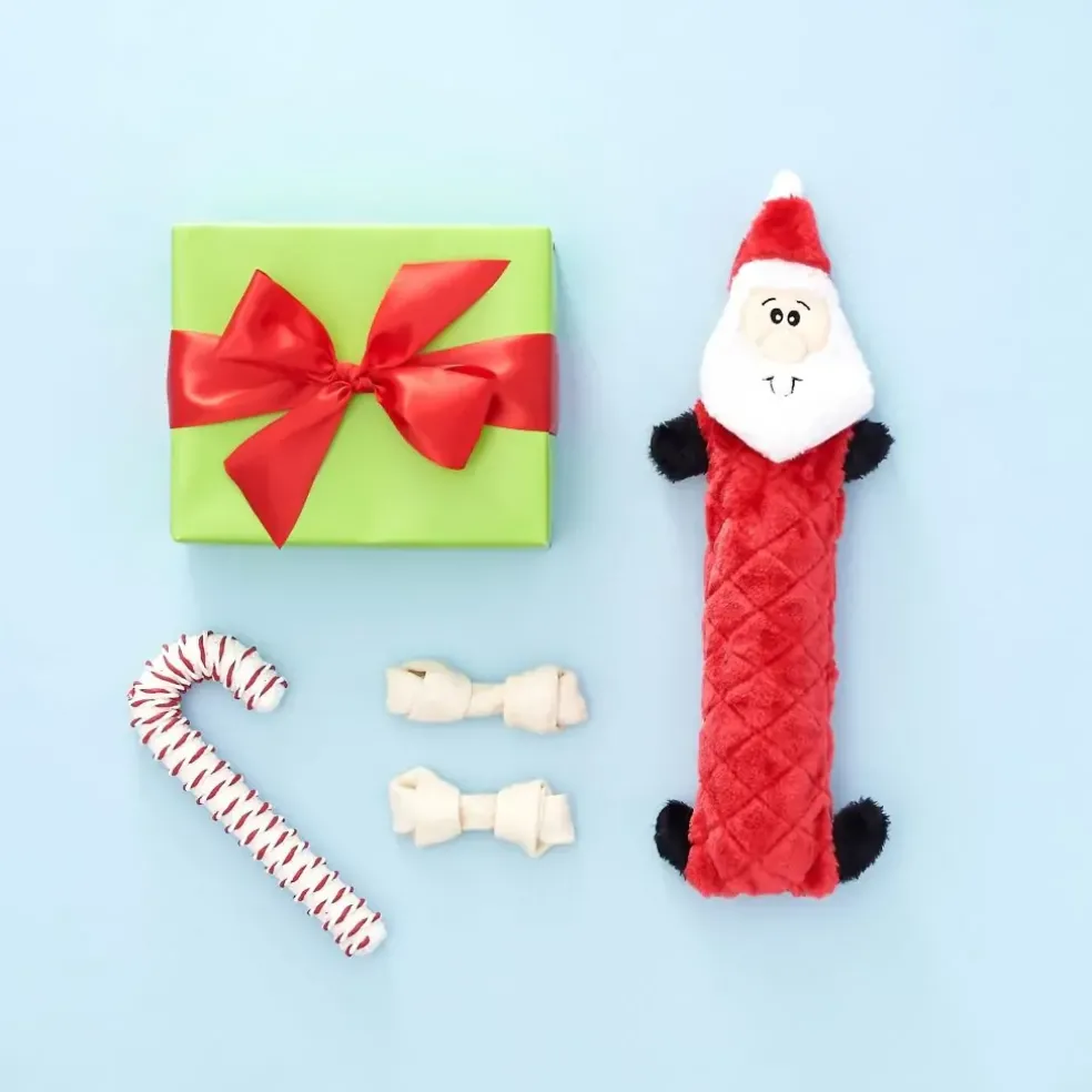 ZippyPaws Holiday Jigglerz Dog Toy
