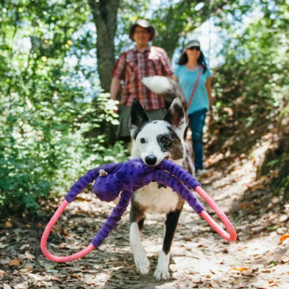 Zippy Paws Monkey RopeTugz Durable Rope Squeaky Chew Toy for Dogs