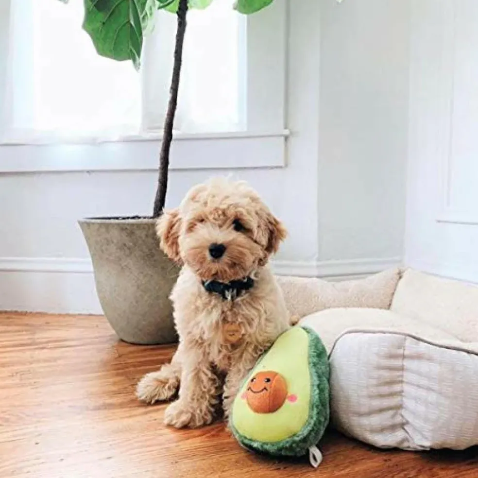 Zippy Paws NomNomz Avocado Soft Plush Squeaker Toy for Dogs