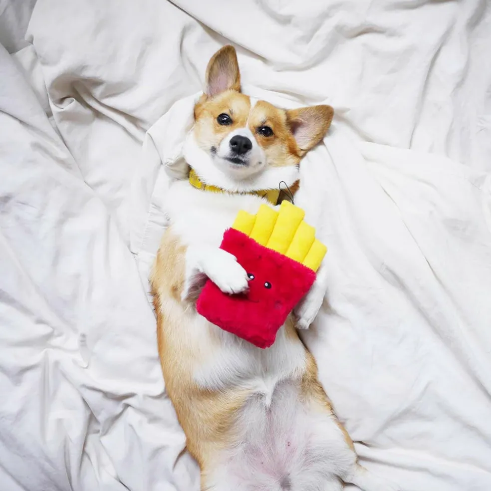 Zippy Paws NomNomz Fries Plush Squeaker Toy for Dogs