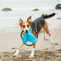 Zippy Paws Rope Gliderz Dog Toy (Medium)