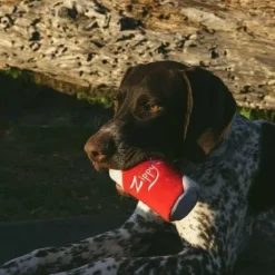 Zippy Paws Squeakie Can Zippy Cola Squeaky Plush Toy for Dogs Small