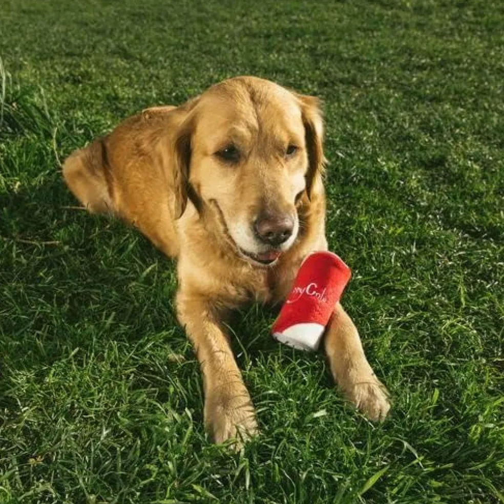 Zippy Paws Squeakie Can Zippy Cola Squeaky Plush Toy for Dogs Small