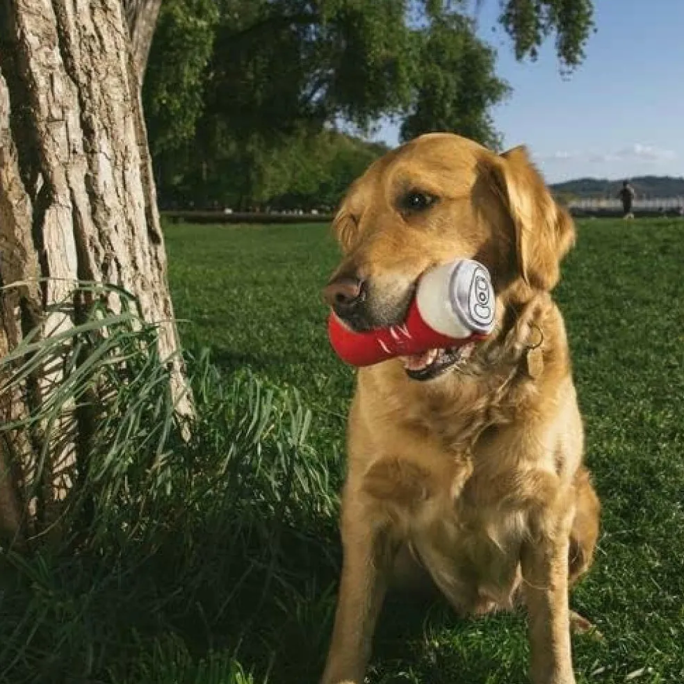 Zippy Paws Squeakie Can Zippy Cola Squeaky Plush Toy for Dogs Small