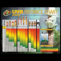 Zoo Med Day & Night Desert Lighting Kit