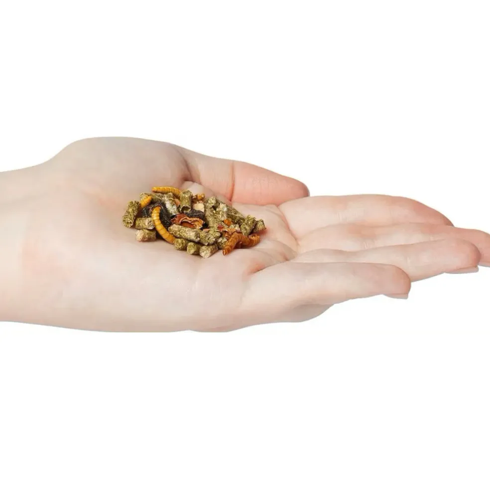 Zoo Med Gourmet Bearded Dragon Dry Food