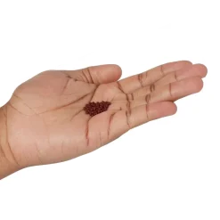 Zoo Med Micro Floating Betta Pellet Fish Food