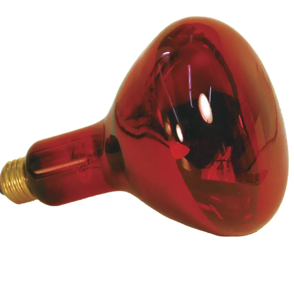 Zoo Med Nocturnal Infrared Heat Lamp for Reptiles