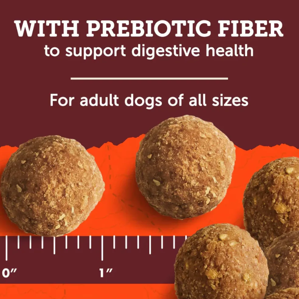 Zuke's Adventure Bites Dog Treats (6 oz)